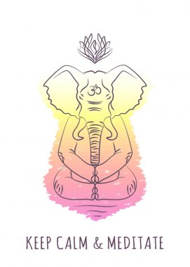 Meditatif hayvan serisi 2