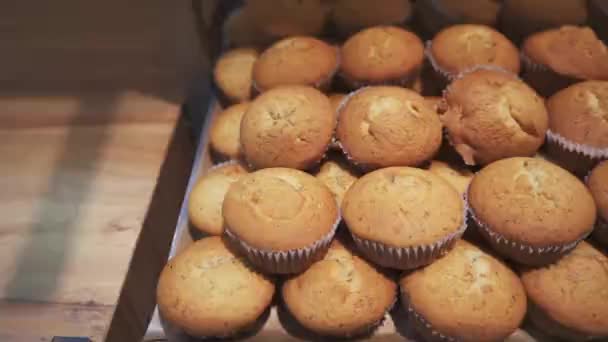 Backblech voller frisch gebackener Muffins. — Stockvideo