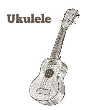 Vektör çizim. Ukulele.