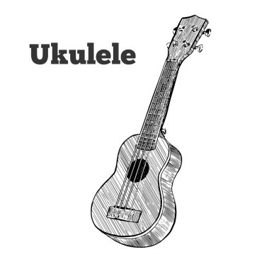 Vektör çizim. Ukulele.