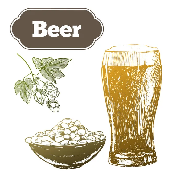 Σύνολο μπύρα. Vector εικονογράφηση . — Διανυσματικό Αρχείο