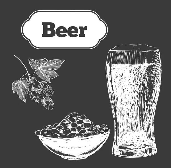Ensemble de bière. Illustration vectorielle  . — Image vectorielle
