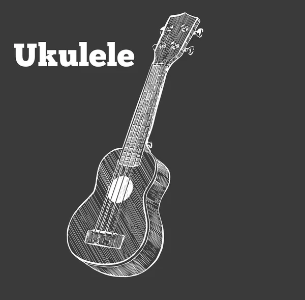 Vector illustration . ukulele. — Stock Vector