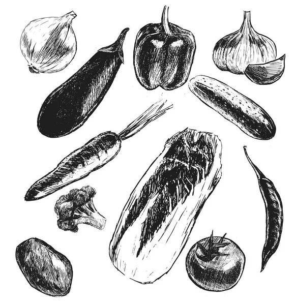 Grande serie di verdure disegnato a mano illustrazioni , — Vettoriale Stock