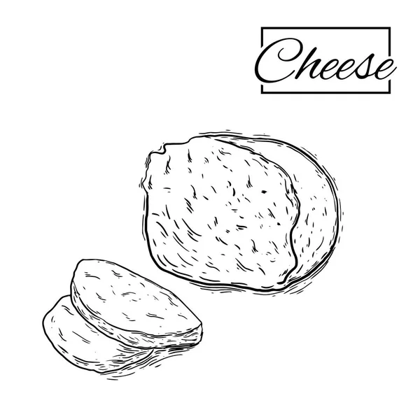 Sajtkészítés különböző típusú sajt készlet-ból vektor vázlatok egy fehér háttér — Stock Vector