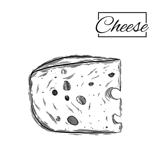 Сыр различные виды сыра набор векторных эскизов на белом фоне — стоковый вектор