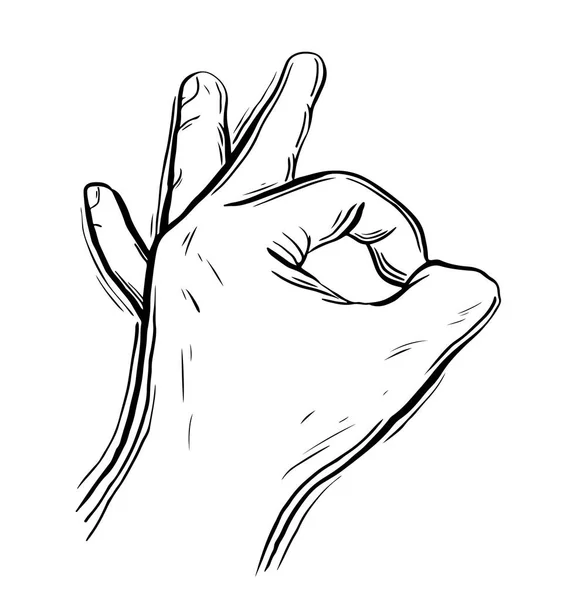 Vecteur OK geste de main. Isolé sur fond blanc . — Image vectorielle