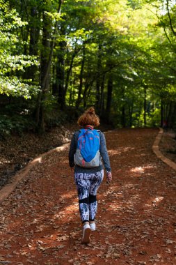 Ormanda yürüyen genç bir kadın. Macera tarzı. Sonbahar renkleri. 