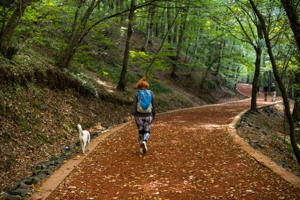 Ormanda yürüyen genç bir kadın. Macera tarzı. Sonbahar renkleri. 