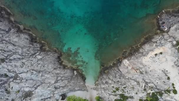Güzel Sahil Manzarası Adriyatik Denizi Deniz Dalgaları Kıyıya Vuruyor Kuş — Stok video
