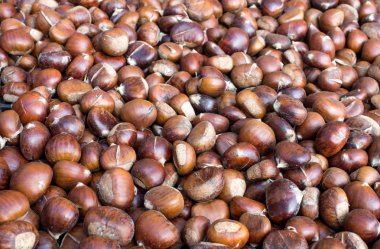kavrulmuş kestane yığını