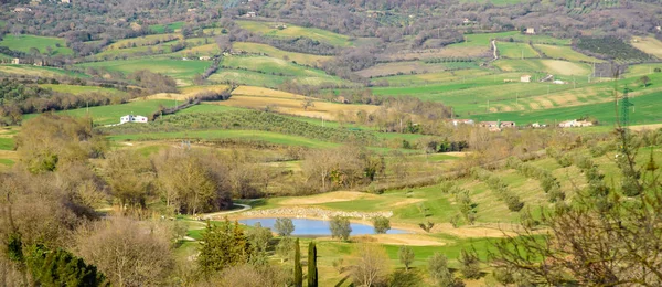 Gölet ile peyzaj — Stok fotoğraf