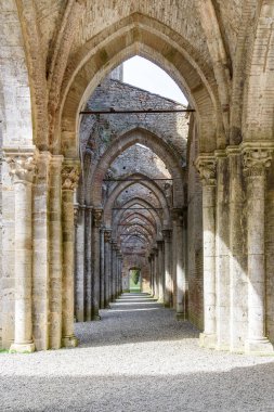 Abbey san galgano, Toskana, İtalya