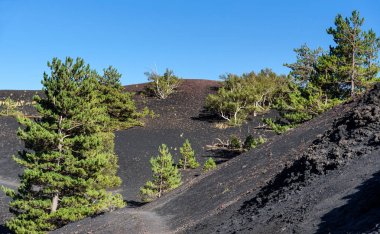 Volkan Etna, mount Sartorius, Sicilya, İtalya, 1865 Erüptif koniler