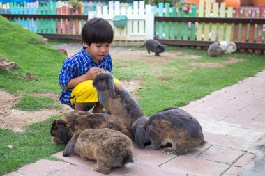 4 yaşındaki Asyalı çocuk oyun grubu co ile kahverengi tavşan ile mutlu