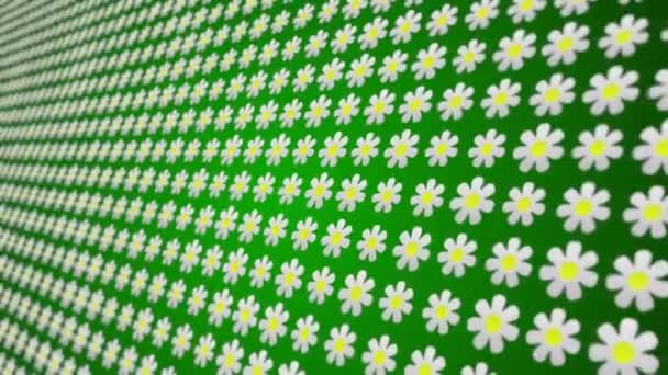 Flowers Pattern Close Animated Background — 비디오