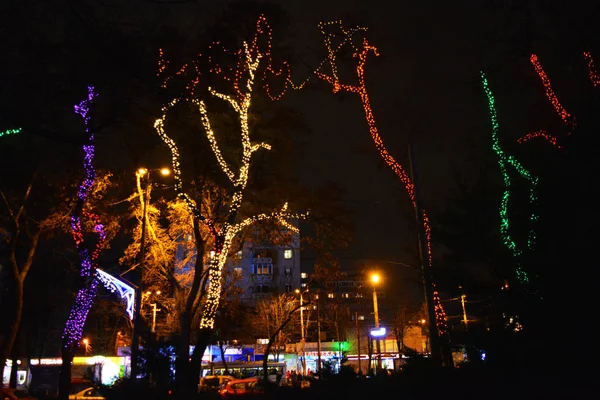 乌克兰第聂伯市公园里的五彩缤纷的冬树 装饰着灯火辉煌的新年和列斯的罗热德斯文斯基花环 — 图库照片