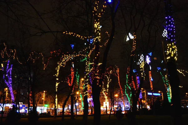 Árboles Multicolores Invierno Envueltos Luminosas Guirnaldas Año Nuevo Rozhdestvensky Ledes — Foto de Stock