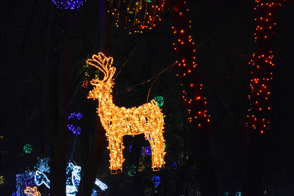 Большие золотые сани Санта-Клауса со светящимися оленями, весом между зимними деревьями в городском парке Днепра, Украина. Яркие красочные новогодние и рождественские украшения из диодов, лампочек
.