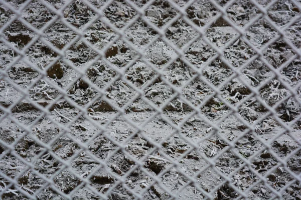 白い雪 明るい霜と美しい雪の結晶で飾られた金属古い錆びたネット — ストック写真