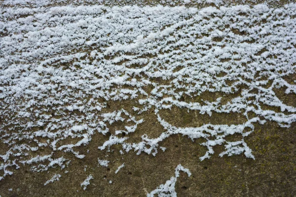 面白いと明るいパターンの緩やかなコンクリート表面にたくさんの雪の結晶がレイアウトされた美しい雪 — ストック写真