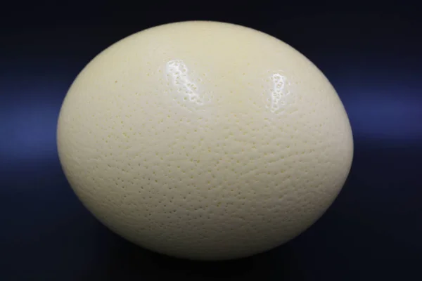 Duże Strusie Jajo Znajduje Się Czarnym Tle — Zdjęcie stockowe