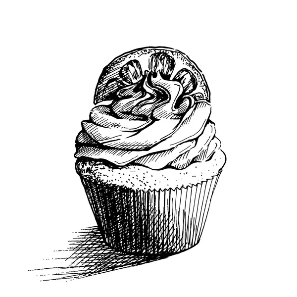 Dibujo en blanco y negro vectorial ilustración de magdalena dulce cremosa linda con rodaja de limón. se puede utilizar para tarjetas de felicitación o invitaciones a fiestas — Vector de stock