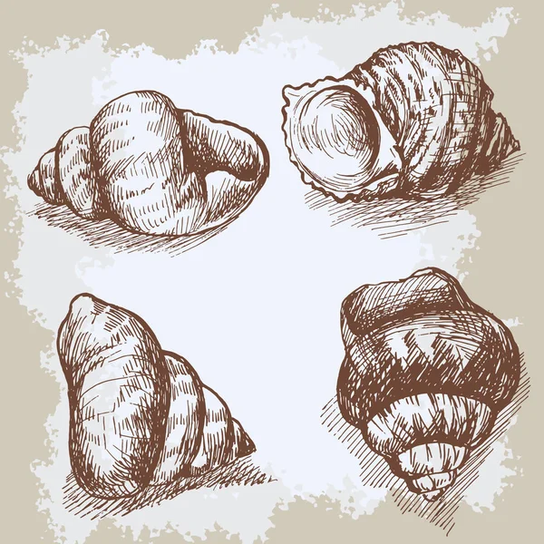 Seashells dibujado a mano vector gráfico grabado vintage boceto, ornamento marino artístico submarino, diseño para tarjeta, papel pintado, textura decorativa, papel de envolver — Archivo Imágenes Vectoriales