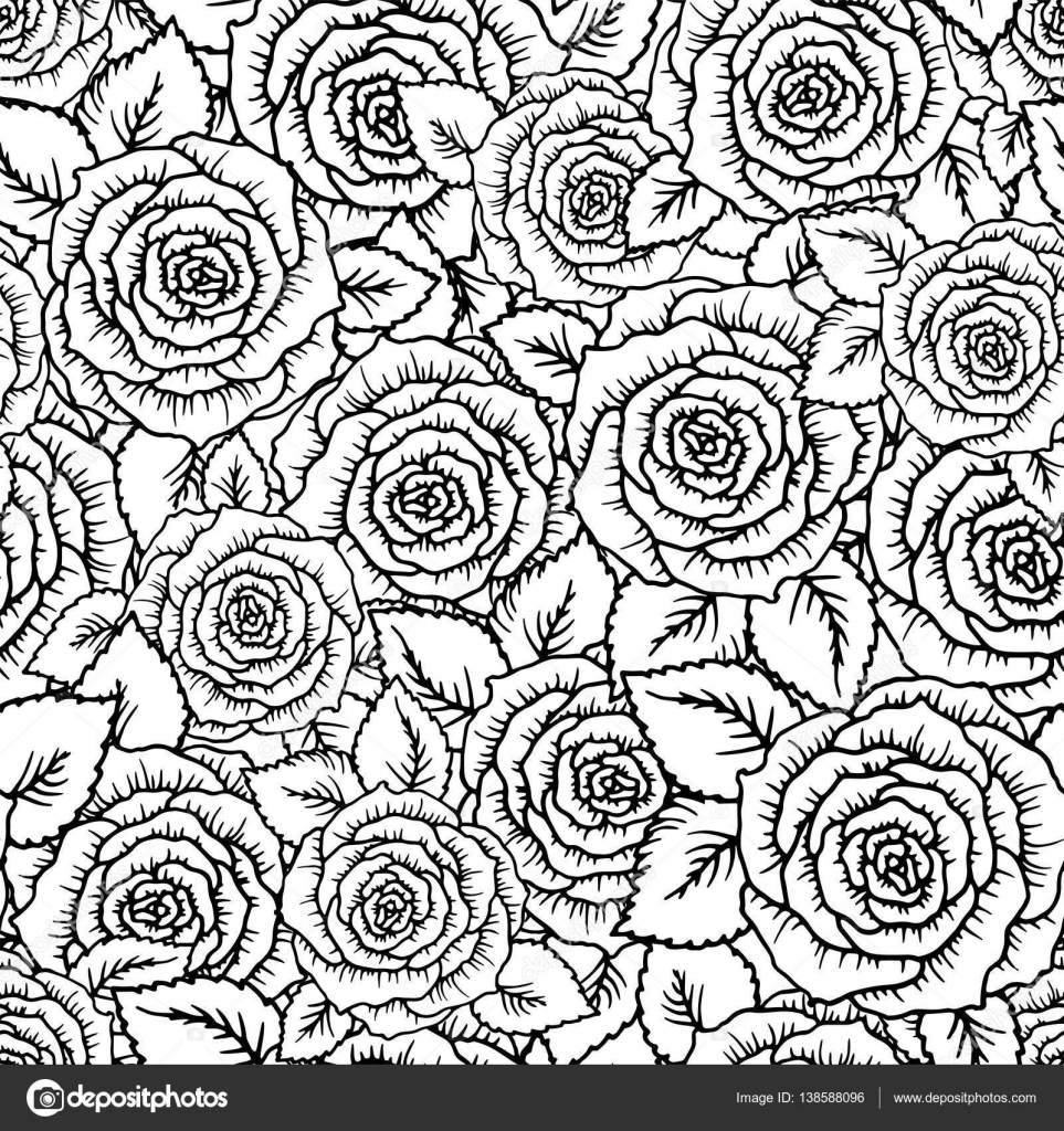 Rose di bello modello senza cuciture bianco e nero con coutlines Linee di contorno disegnato