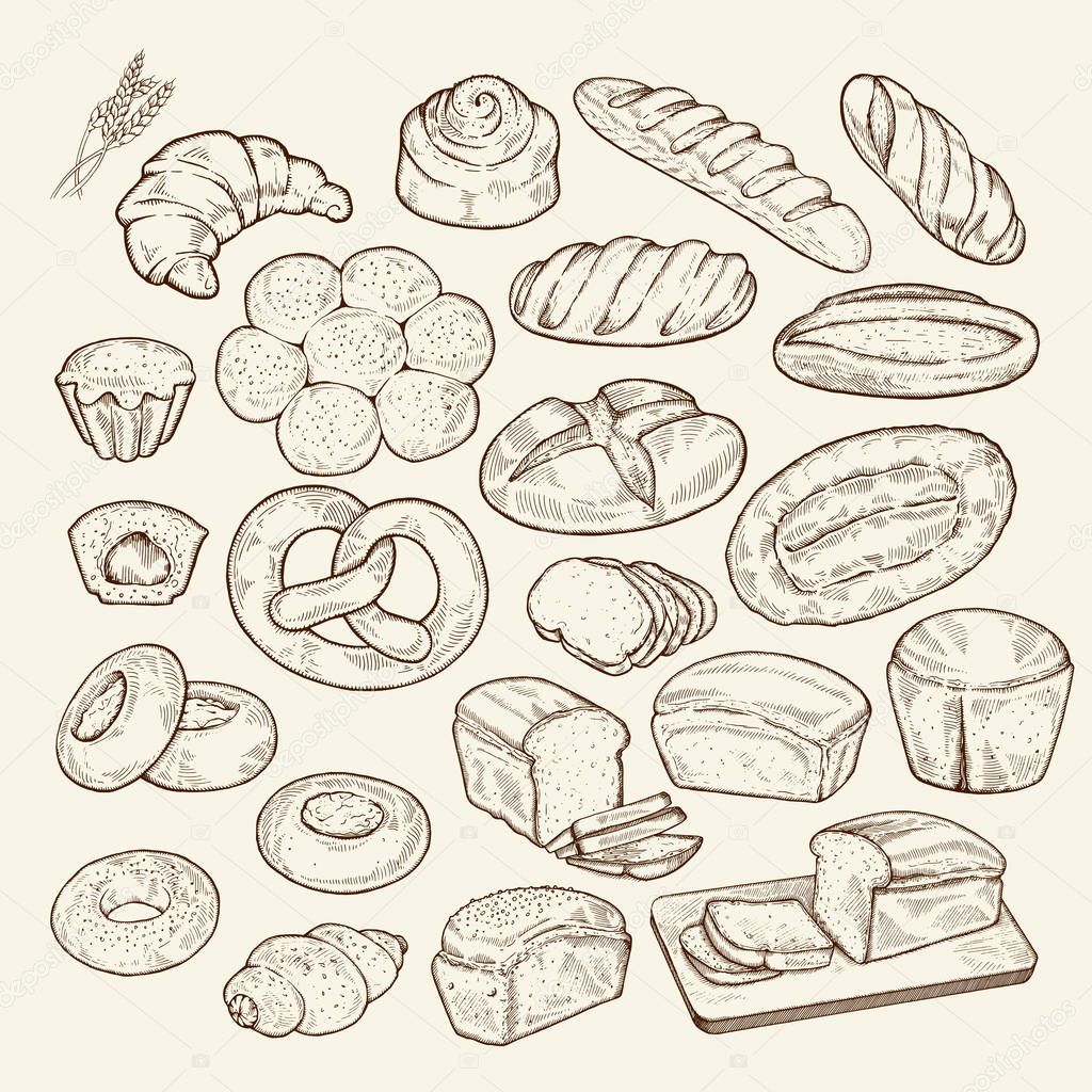Food sketch set. Hand drawn bread and bakery background, freehand engraving style, artistic elements