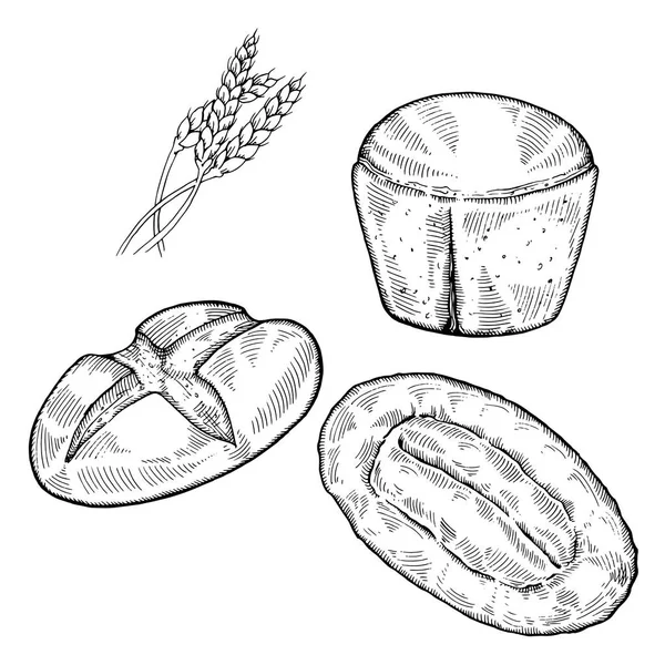 Vintage elle çizilmiş kroki taze vintage tarzı ekmek küme. Beyaz arka plan üzerinde dilim ekmek.