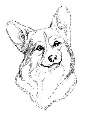 Welsh Corgi Pembroke 'un el yapımı robot resmi. Beyaz arka planda el çizimi evcil köpek illüstrasyonu.