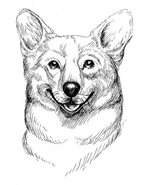Welsh Corgi Pembroke 'un el yapımı robot resmi. Beyaz arka planda el çizimi evcil köpek illüstrasyonu.