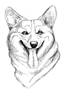 Welsh Corgi Pembroke 'un el yapımı robot resmi. Beyaz arka planda el çizimi evcil köpek illüstrasyonu.