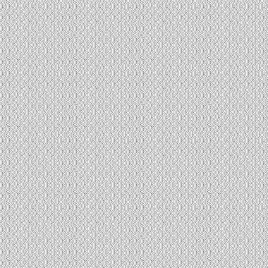 Siyah ve beyaz balık sorunsuz model ölçekler