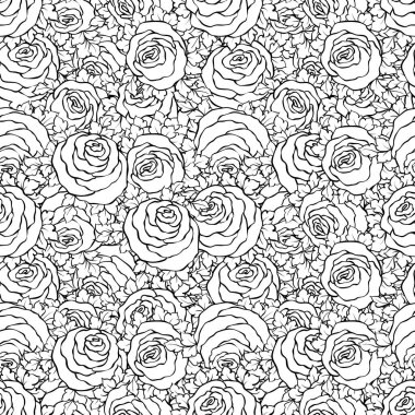 Şirin gül, tek renkli seamless modeli ile çiçek dekoratif siyah ve beyaz arka plan