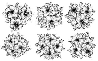 El çizimi tropikal çiçekli yaprak buketi. Beyaz arka planda çizim çiçekleri. Egzotik çiçekler, kabartma stili tekstil, yüzey tasarımı ya da afiş. Boyama kitabı için harika bir şablon