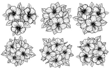 El çizimi tropikal çiçekli yaprak buketi. Beyaz arka planda çizim çiçekleri. Egzotik çiçekler, kabartma stili tekstil, yüzey tasarımı ya da afiş. Boyama kitabı için harika bir şablon