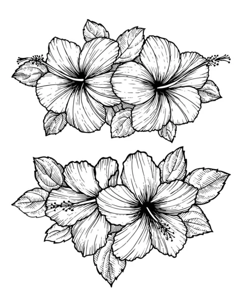 Bouquet Fleurs Hibiscus Tropical Dessiné Main Avec Des Feuilles Croquis — Image vectorielle