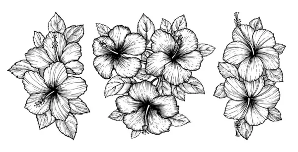 葉が付いた熱帯ハイビスカスの花花束を手描き 白い背景に花をスケッチします エキゾチックな花 表面のデザインやバナーの彫刻スタイル ぬり絵のための素晴らしいテンプレート — ストックベクタ