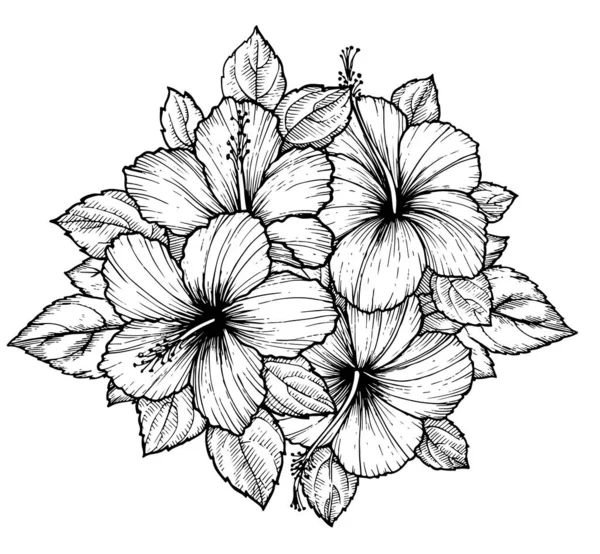 葉が付いた熱帯ハイビスカスの花花束を手描き 白い背景に花をスケッチします エキゾチックな花 表面のデザインやバナーの彫刻スタイル ぬり絵のための素晴らしいテンプレート — ストックベクタ