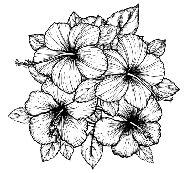 Bouquet Fleurs Hibiscus Tropical Dessiné Main Avec Des Feuilles Croquis — Image vectorielle