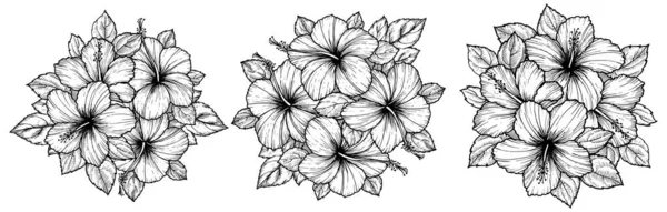 Bouquet Fleurs Hibiscus Tropical Dessiné Main Avec Des Feuilles Croquis — Image vectorielle