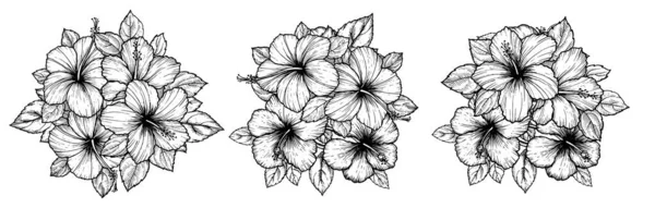 Bouquet Fleurs Hibiscus Tropical Dessiné Main Avec Des Feuilles Croquis — Image vectorielle