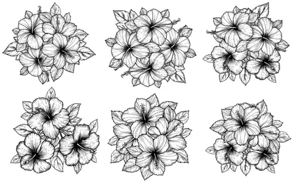 Kézzel Rajzolt Trópusi Hibiszkusz Virágcsokor Levelekkel Vázlatos Virágok Fehér Háttérrel — Stock Vector