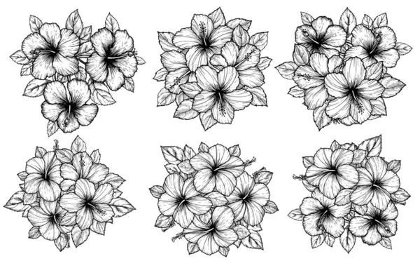 Рисует Букет Цветов Хибискус Листьями Рисунок Флоралей Белом Фоне Экзотические — стоковый вектор