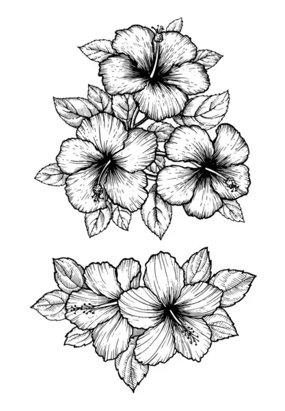 Ručně Kreslená Kytice Tropického Ibišku Listy Kreslit Květinářství Bílém Pozadí Stock Vektory