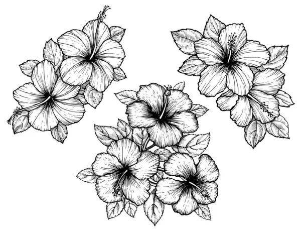 Ručně Kreslená Kytice Tropického Ibišku Listy Kreslit Květinářství Bílém Pozadí Vektorová Grafika