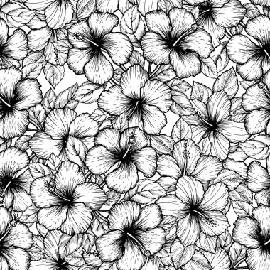 El çizimi tropikal amber çiçeği. Beyaz arka planda yaprakları olan kusursuz çiçek deseni. Tekstil, yüzey tasarımı ya da afiş için egzotik duvar kağıdı. Boyama kitabı için harika bir şablon