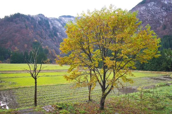 Gokayama Japan One Abundant Natural Resources Culture Heritage Varied Terrain — Stock Photo, Image
